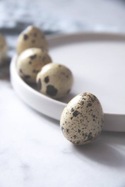 Bıldırcın yumurta çanak havlu kuş tüyleri