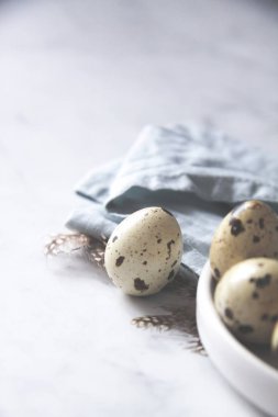 Bıldırcın yumurta çanak havlu kuş tüyleri