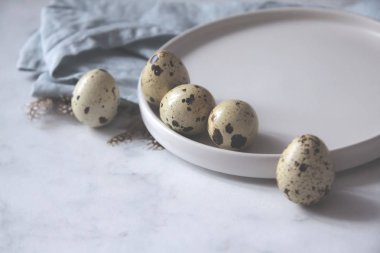 Bıldırcın yumurta çanak havlu kuş tüyleri