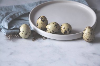 Bıldırcın yumurta çanak havlu kuş tüyleri