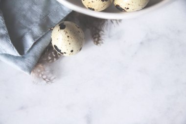 Yumurta havlu dökme cam kubbe bıldırcın