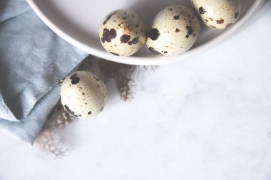 Yumurta havlu dökme cam kubbe bıldırcın