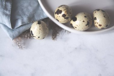 Yumurta havlu dökme cam kubbe bıldırcın