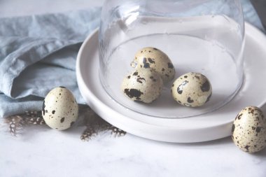 Yumurta havlu dökme cam kubbe bıldırcın