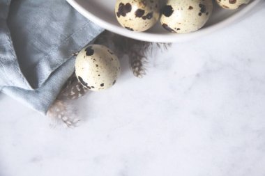 Yumurta havlu dökme cam kubbe bıldırcın