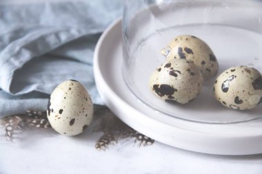 Yumurta havlu dökme cam kubbe bıldırcın