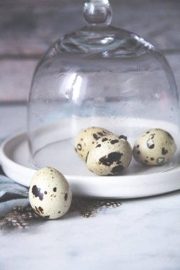 Yumurta havlu dökme cam kubbe bıldırcın