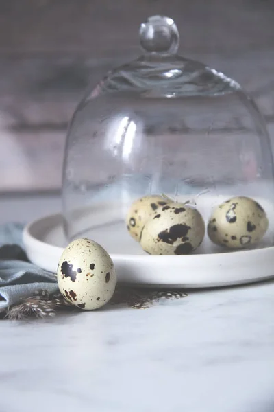 Eggs Quail Towel Plate Glass Dome — Stock Photo, Image