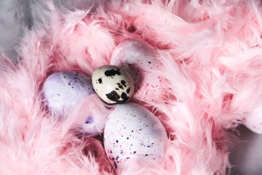 Paskalya Paskalya yumurtaları ve pembe tüy arka plan. Üstten görünüm. Bıldırcın yumurta