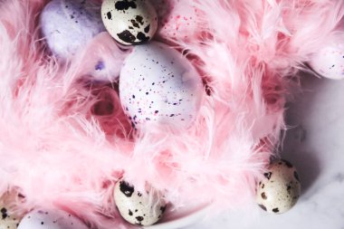 Paskalya Paskalya yumurtaları ve pembe tüy arka plan. Üstten görünüm. Bıldırcın yumurta