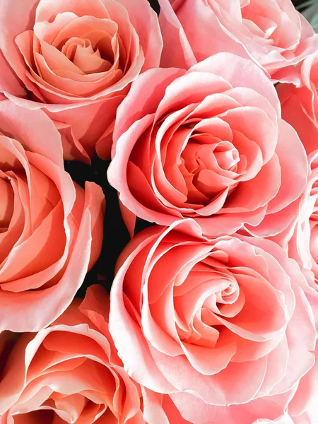 Красивые Лепестки Розы Крупным Планом Валентина Фон — стоковое фото