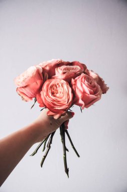 Arka plan üzerinde izole güzel pembe güller