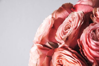 Arka plan üzerinde izole güzel pembe güller