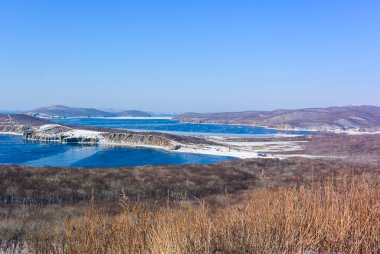 Dağ nehir orman çalılar