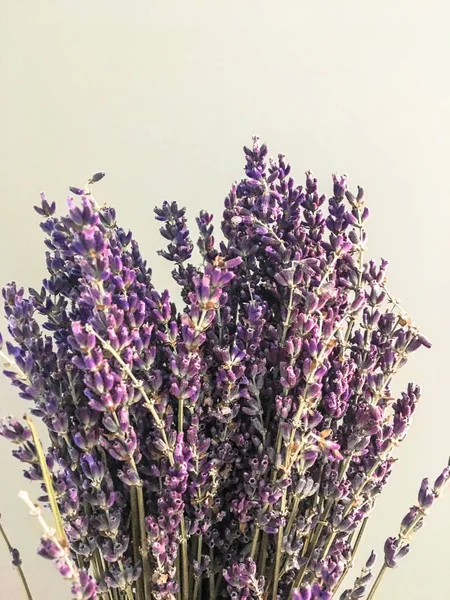 Lavendel Bouquet Auf Grauem Hintergrund — Stockfoto
