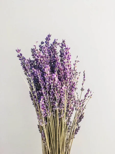 Lavendel Bouquet Auf Grauem Hintergrund — Stockfoto