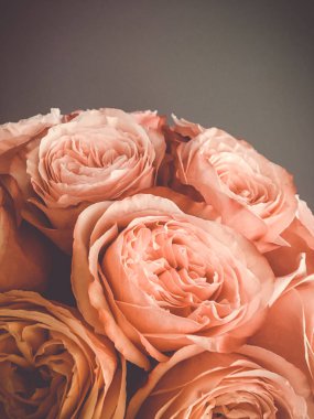 Güzel ışık güller sınır arka plan