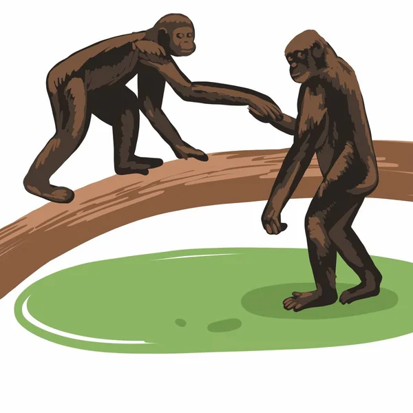 Monos Tribales Prehistóricos Cueva Aire Libre — Vector de stock