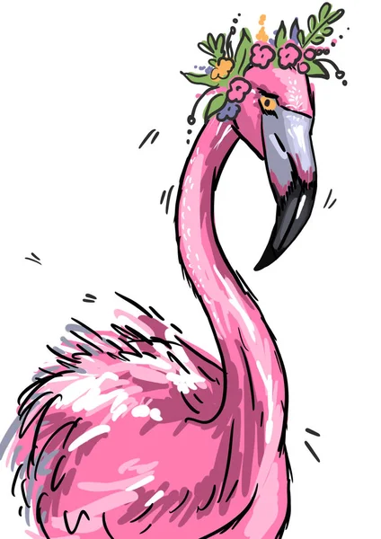 Tropical Bird Flamingo Cartoon — Stock Photo, Image