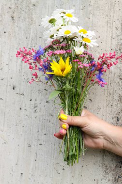 Ayçiçeği papatya, cornflowers ile alan çiçek buketi