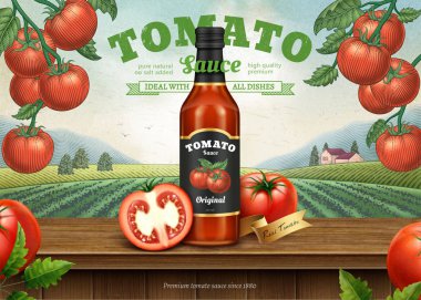 Gravür tarzı domates orchard arka plan üzerinde 3d çizim paket ketçap retro reklamlarla
