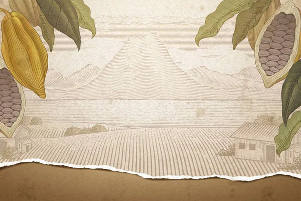 Cacao Vintage Champ Nature Dans Style Gravure Texture Papier Déchiré — Image vectorielle