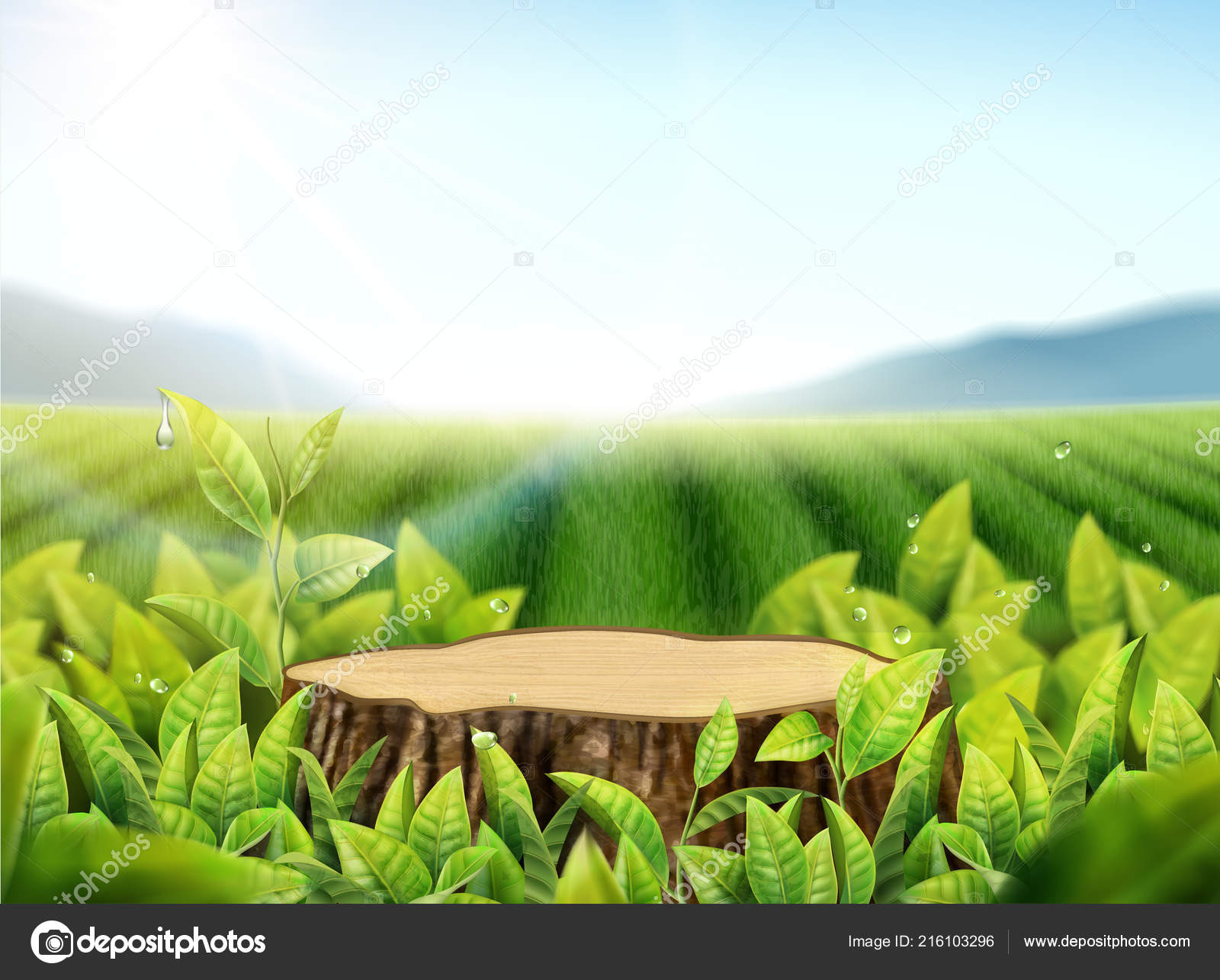 Nature Tea Garden Background Leaves Cut Tree Trunk Illustration Stock Vector  Image by ©MITstudio #216103296