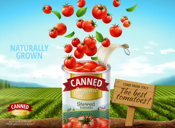 Puszki pomidorowe ogłoszenia — Wektor stockowy
