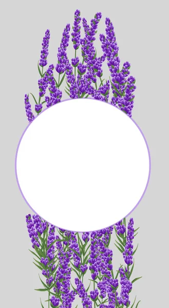 background of purple lavender flowers, watercolor flowers style. elegant flowers. vector illustration