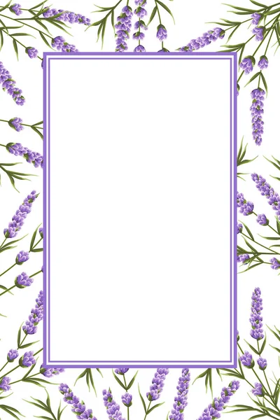 Fondo Flores Lavanda Púrpura Flores Estilo Acuarela Flores Elegantes Vector — Archivo Imágenes Vectoriales