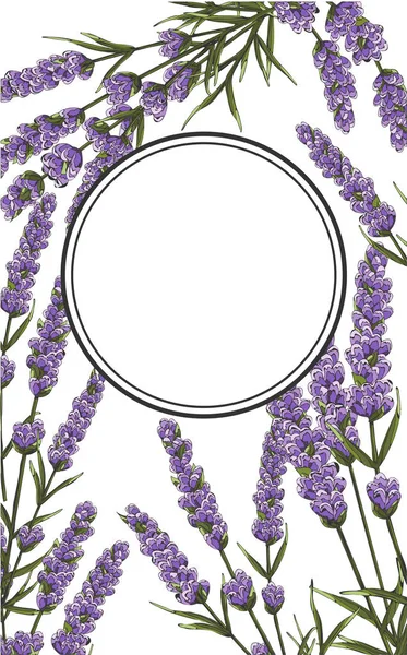 background of purple lavender flowers, watercolor style flowers. elegant flowers. vector illustration