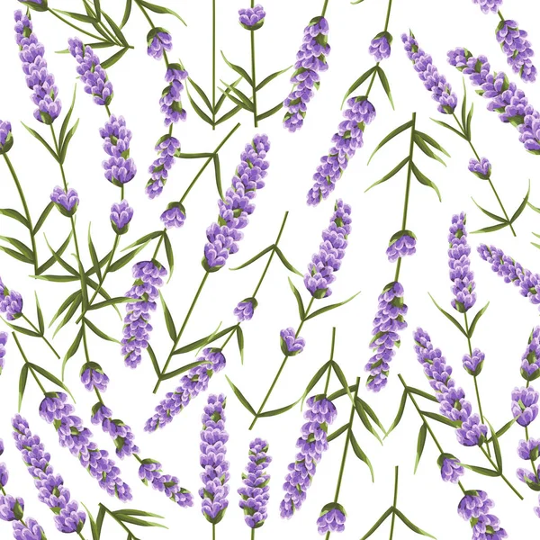 Patrón Sin Costuras Flores Lavanda Púrpura Flores Estilo Acuarela Flores — Vector de stock