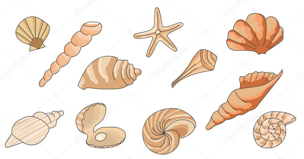  pattern with seashells, vector illustration.Summer concept with seashells and starfish.