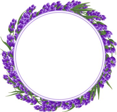 arka planını mor lavanta çiçek, suluboya tarzı çiçek. zarif çiçekler. vektör çizim