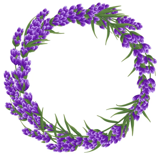 arka planını mor lavanta çiçek, suluboya tarzı çiçek. zarif çiçekler. vektör çizim