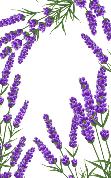 Fondo Flores Lavanda Púrpura Flores Estilo Acuarela Flores Elegantes Vector — Vector de stock