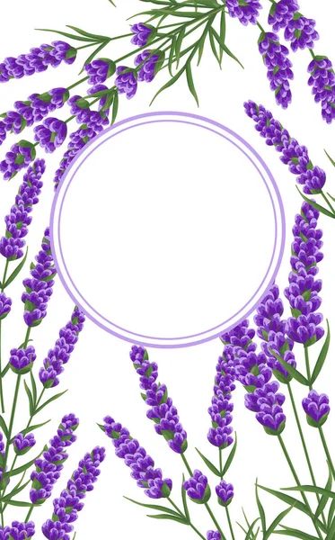 background of purple lavender flowers, watercolor style flowers. elegant flowers. vector backgroun