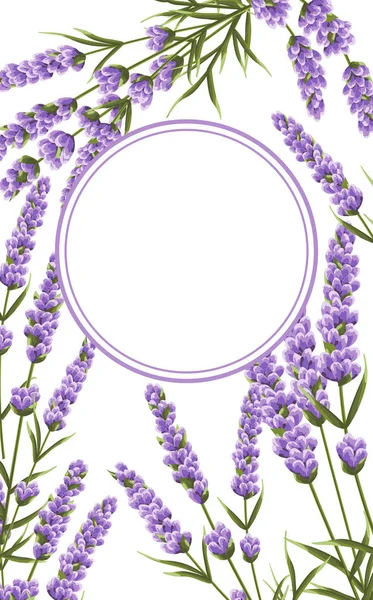 background of purple lavender flowers, watercolor style flowers. elegant flowers. vector illustration