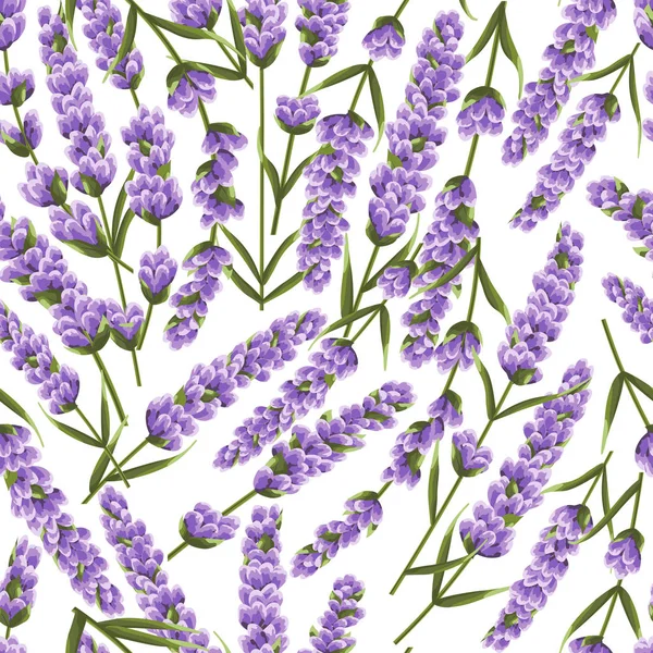 seamless pattern of purple lavender flowers, watercolor style flowers. elegant flowers. vector backgroun