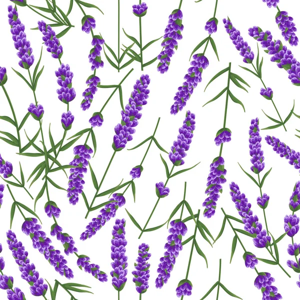Dikişsiz desen mor lavanta çiçek, suluboya tarzı çiçek. zarif çiçekler. vektör adam