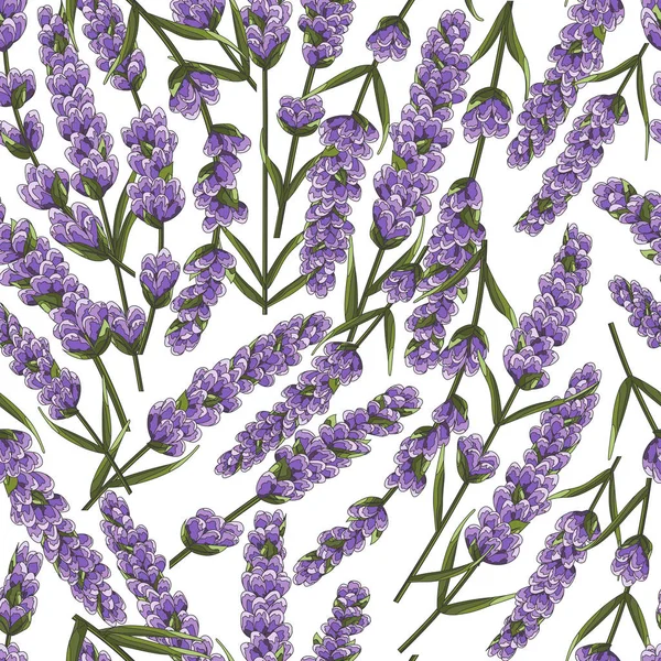 seamless pattern of purple lavender flowers, watercolor style flowers. elegant flowers. vector backgroun