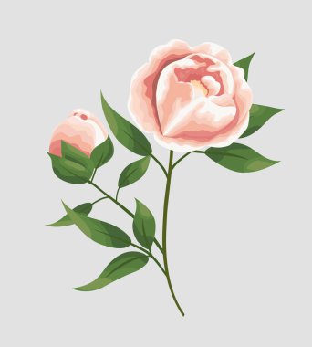 Şakayık çiçekleri watercolo tarzı