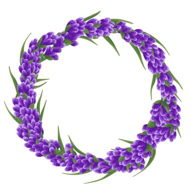 arka planını mor lavanta çiçekleri, suluboya çiçek tarzı. zarif çiçekler. vektör çizim