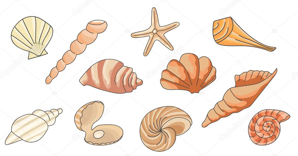  pattern with seashells, vector illustration.Summer concept with seashells and starfish.