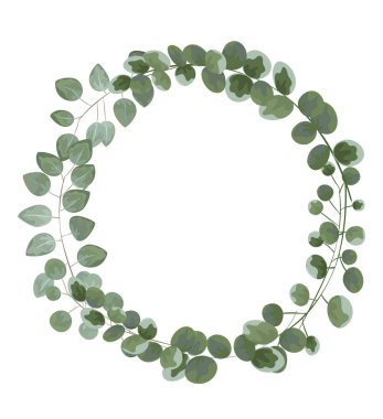Okaliptüs metin için arka plan. gri ve yeşil eucalyptus.invitation, kartpostal ile okaliptüs. rustik tarzı, botanik tarzı. yeşillikleri ile geğirmek. vektör çizim