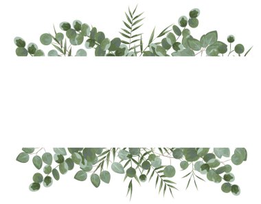 Okaliptüs metin için arka plan. gri ve yeşil eucalyptus.invitation, kartpostal ile okaliptüs. rustik tarzı, botanik tarzı. yeşillikleri ile geğirmek. vektör çizim