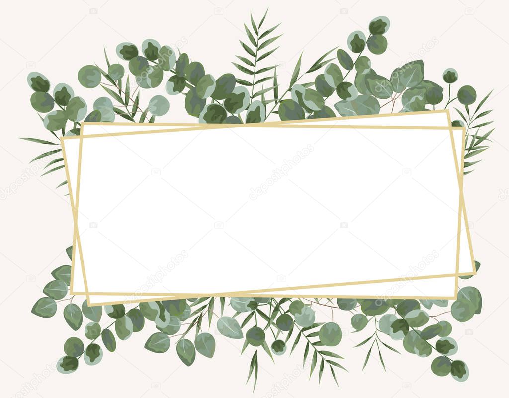 background for text from eucalyptus. gray and green eucalyptus.invitation, postcard with eucalyptus. rustic style, Botanical style. burp with greens. vector illustration
