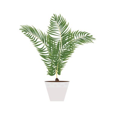 suluboya tarzında kapalı bitkilerin izole nesneleri. dostum