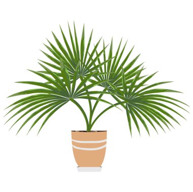 suluboya tarzında kapalı bitkilerin izole nesneleri. dostum