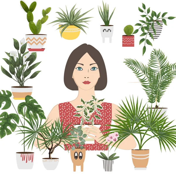 Objets Isolés Plantes Fleurs Intérieur Dans Différents Pots Jardinières Illustration — Image vectorielle